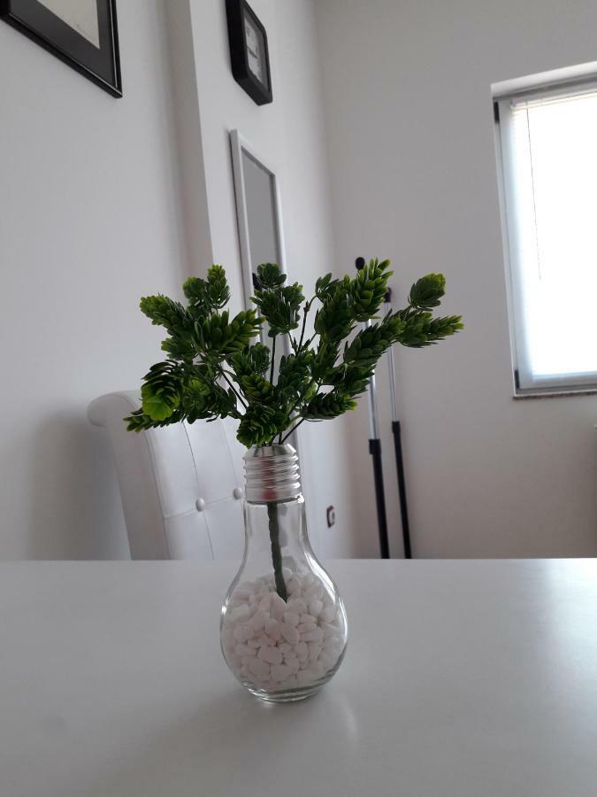 Apartman Dunja Ns 2 Новий Сад Екстер'єр фото