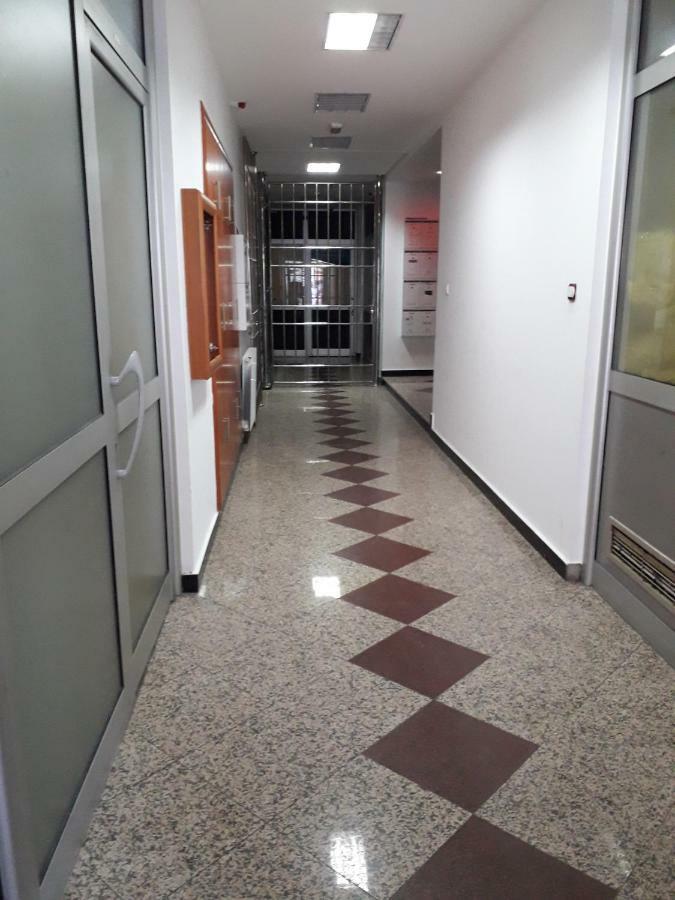 Apartman Dunja Ns 2 Новий Сад Екстер'єр фото